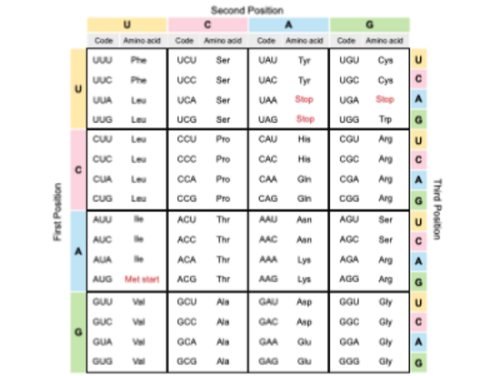Slides Presentations template preview