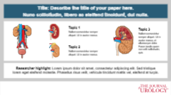 Graphical Abstracts template preview
