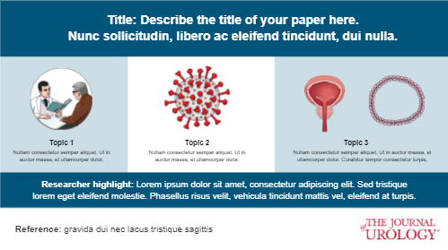 Graphical Abstracts template Urology 01