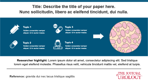Graphical Abstracts template Urology 03