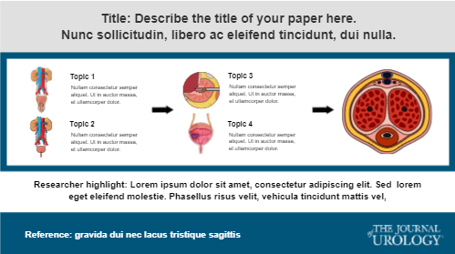 Graphical Abstracts template Urology 05