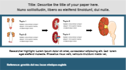 Graphical Abstracts template urology 2